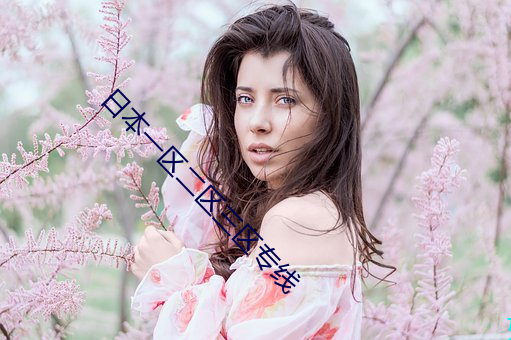 日本一区二区三区专线
