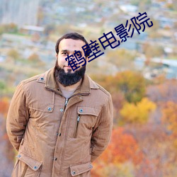 鹤(鶴)壁电(電)影(影)院