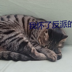 米乐M6·(中国)官方网站