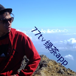 77t∨绿茶app