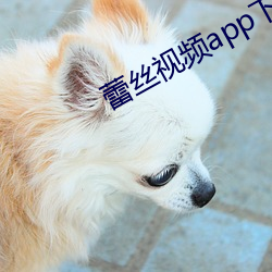 yp街机电子游戏(中国)官方网站