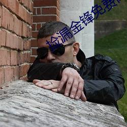 撿漏金鋒免費閱讀