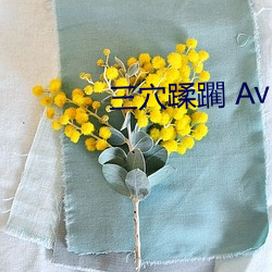 三(sān)穴(xu)蹂躙 Av