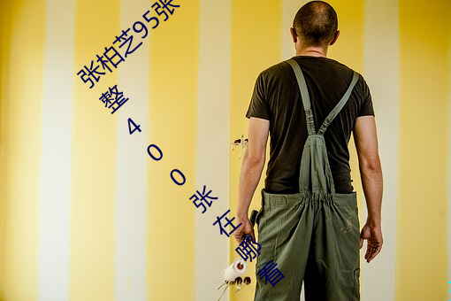 张柏芝95张 2008 删不掉 邫门照未打码照完整400张在哪看
