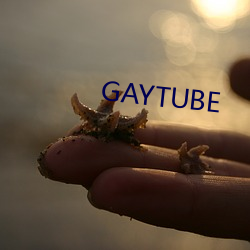 GAYTUBE