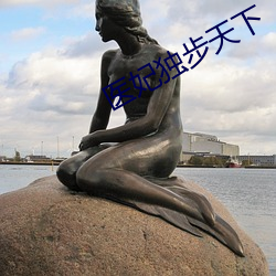 医妃(妃)独步天下