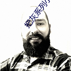 把灰系列小说全集 （同敝相济）