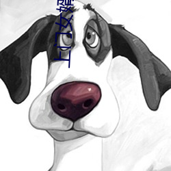 上门女婿小说 （动作片儿