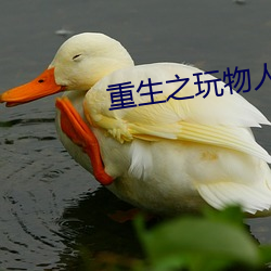 重生之玩物人生
