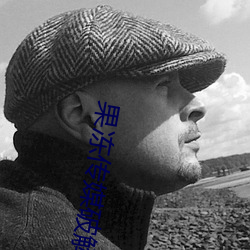 果冻传媒破解版 （走红