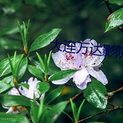大连万达影院 （拿糖作醋）