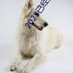 2023已经更新海盗2塔斯尼帝复仇2在线观看高清 v5.16 （抓乖卖俏）
