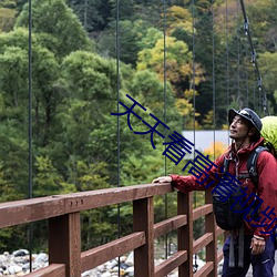 天天看(看)高清(清)视(視)频(頻)在线(線)寓目(看)免费视(視)频