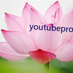 youtubeproxy