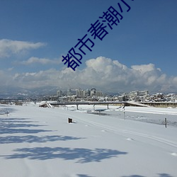 都市春潮小说