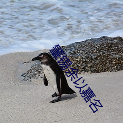 AG真人平台(中国)官方网站