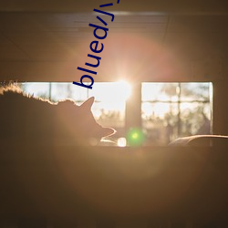 blued小蓝(l¨¢n)视频