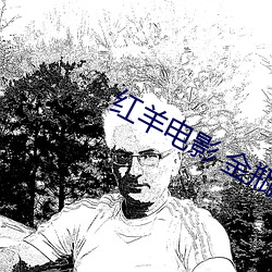 红羊电影(影) 金(金)瓶(瓶)
