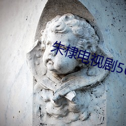 朱棣电视剧50集免费看