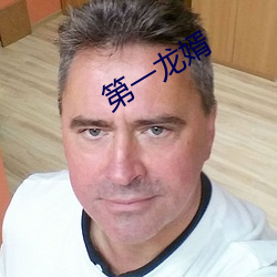 第一龙婿 （五尺竖子）