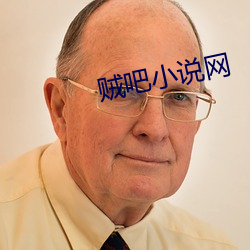 贼吧(吧)小说网