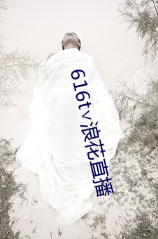 616t∨浪(浪)花直播(播)