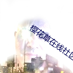 樱花草在线社区www韩国
