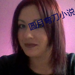 圆月弯刀小说(shuō)