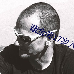 藏金阁17岁入口(口)