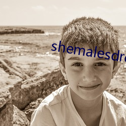 shemalesdream