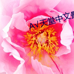 √天堂中文最新版