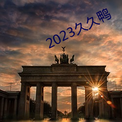 2023久久鴨