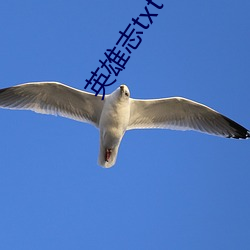 英雄志txt下载(zài)