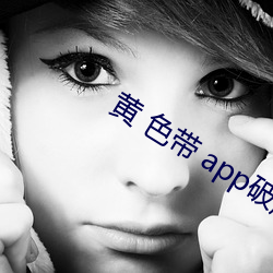 黄 色带 app破解视频