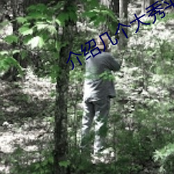 介绍几个大秀平(平)台