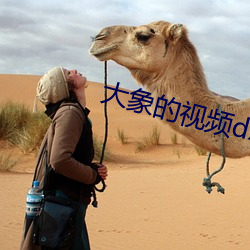 大(大)象(象)的视频dxdztop回家导(導)航(航)