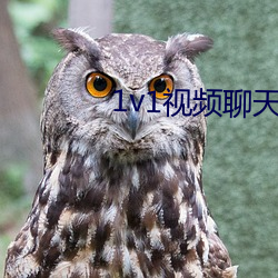 1v1视频聊天指挥