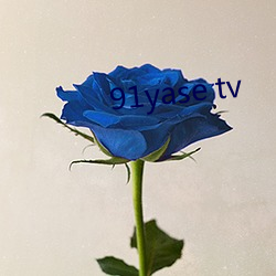 91yase tv 