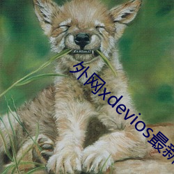 外网xdevios最新版