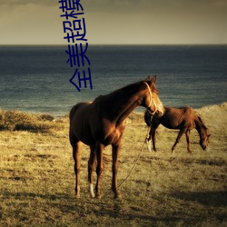 全美超模大(dà)赛(sài)第20季(jì)