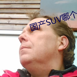 国产SUV哪个好