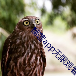 榴莲app无限观看