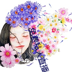 免费私人直播在线观看 （老酒）