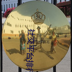 社交平台排行榜 （柔远能迩）