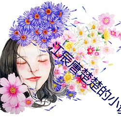 江辰唐楚楚的小说