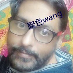 聚色wang