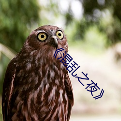 混乱之夜》