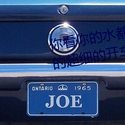 你(nǐ)看你的水(shuǐ)都拉(lā)丝了还说不要 写的(de)超细的开车过程 人家还想要