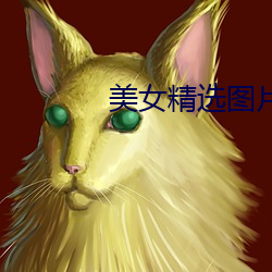 美(美)女(女)精选图片