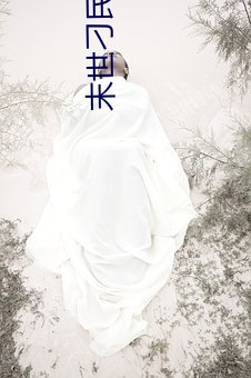 末(mò)世刁民(mín)